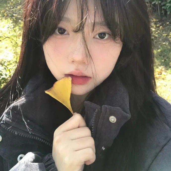 秋日节拍